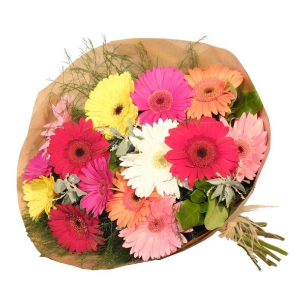 Gerbera Bunch